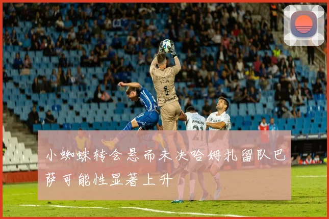 小蜘蛛转会悬而未决哈姆扎留队巴萨可能性显著上升